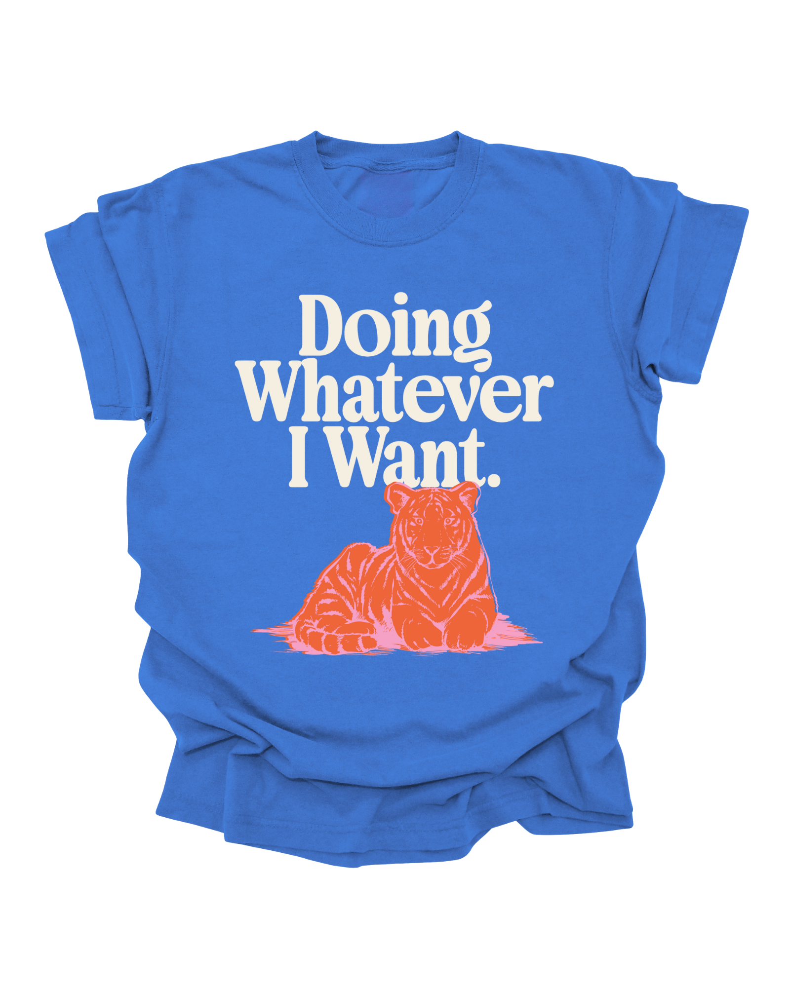 21_e98b5c7f-6fa0-49f5-aa94-3753f69bbf1c.png